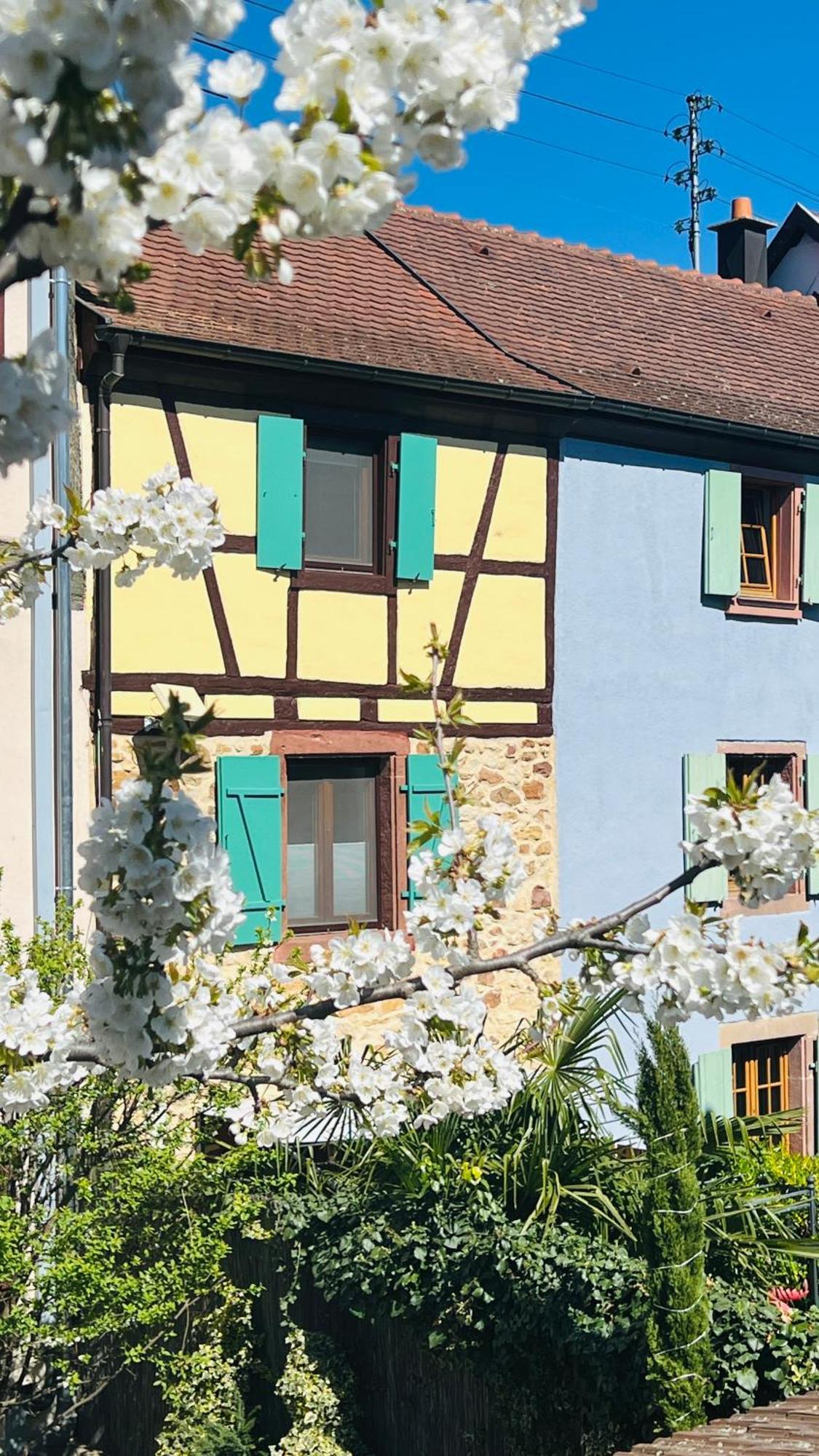 Gite Le Coq Rouge Eguisheim Exterior photo